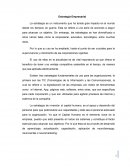 Estrategia Empresarial ensayo