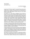 Mexico Barbaro, comentario