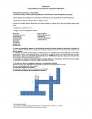 Emprendiendo mí proyecto integrador (REVISTA)