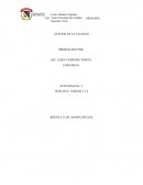 GESTION DE LA CALIDAD ACTIVIDAD