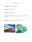 Principales indicadores (EPH) – Análisis Segundo trimestre 2017