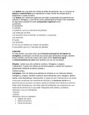 Los azúcares como el almidón, la sacarosa, o la glucosa.