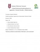 Informe Muestreo de Trabajo Productividad