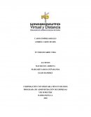 PROGRAMA DE ADMINISTRACIÓN DE EMPRESAS CASOS EMPRESARIALES
