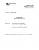 LIQUIDACION DE IMPORTACIONES