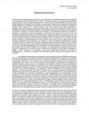 EMPRESAS MULTINACIONALES