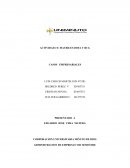 MATRIZ DOFA Y BCG CASO NUTRESA