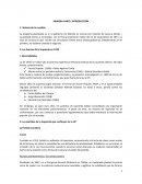 La agresión del oso cuestión