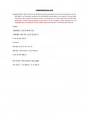 COMERCIANTES DEL SUR