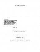 PIA: Ensayo Multidisciplinar