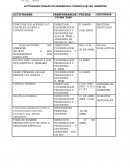 Actividades finales de desarrollo curricular 1er. bimestre