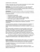 Alimetacion en el jardin