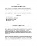 Todos los santos, día de muertos