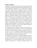 Investigación dominancia cerebral