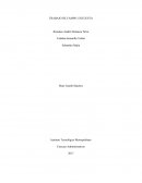 Trabajo de encuestas