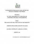 ORGANIZACIÓN DEL PROCESO DE CRECIMIENTO