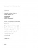 CARTILLA DE CONDICIONES DE SEGURIDAD