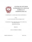 ANÁLISIS DEL USO DE VIDEOVIGILANCIA EN EL ÁREA DE LA SEGURIDAD PÚBLICA