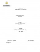 Gestión Básica de la información WordPress