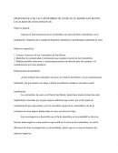 PROBLEMÁTICA DE LAS CURTIEMBRES DE CUERO EN EL BARRIO SAN BENITO, LOCALIDAD DE CIUDAD BOLIVAR.