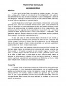 Prototipos textuales - Película “La magia de Grace”