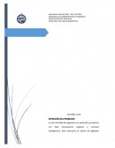 INVESTIGACIÓN DE MERCADO Huerta orgánica