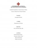 Ensayo Planteamiento del Problema Investigación Social III