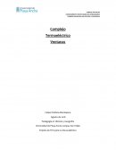 Complejo termoelectrico ventanas