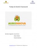 Trabajo de Gestión Empresarial . Soluciones& Innovaciones Agro Energéticos Spa