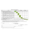 Cronograma pra proyecto de vida