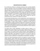 DESCRIPCIÓN DEL DOMINIO