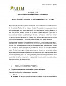 REGULACIÓN DEL PROBLEMA PÚBLICO Y AUTORIDADES