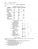 Contabilidad financiera . CASUISTICA DESARROLLADA