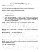 Generaridades del sistema nerviso