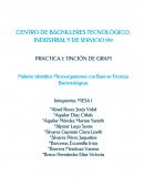 CENTRO DE BACHILLERES TECNOLÓGICO, INDUSTRIAL Y DE SERVICIO 199
