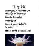 Ensayo: Achoque o ‘‘Ajolote’’ de Xochimilco