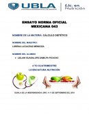 ENSAYO NORMA OFICIAL MEXICANA 043