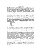 TRABAJO FINAL DISEÑO MECACNICO