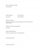 Contitucion de apatzingan