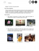 Planos fotográficos