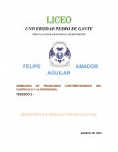 SEMINARIO DE PROBLEMAS CONTEMPORÁNEOS DEL CURRÍCULO Y LA ENSEÑANZA.