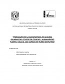 Embarazo en estudiantes de bachillerato: Un análisis del contexto adolescente