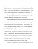 Paisajes precolombinos. S. Stern