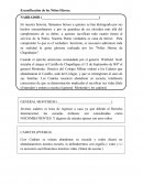 Escenificación de los Niños Héroes