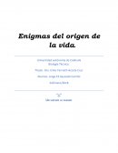 Origen de la vida