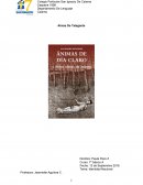 Tema: Identidad Nacional