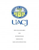 Ensayo de pelicula north country