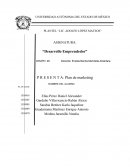 Propuesta de plan de Marketing