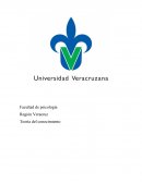 Teoria del conocimieto sintesis