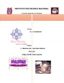 Proyecto “DULCE OBSESION”